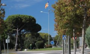 Santa Cristina d'Aro. Baix Empordà. estelada a la rotonda giratori d'accés a la urbanització de la Roca de Malvet, a l'entrada al poble des de Llagostera per la carretera antiga. Carrer Teulera  Careto: No