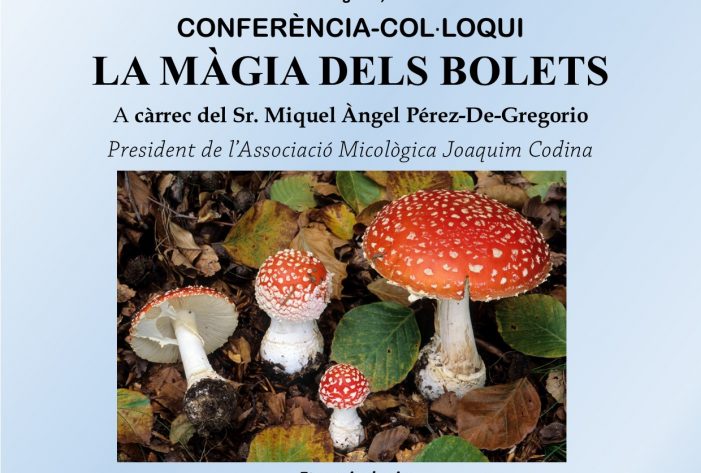 La màgia dels bolets